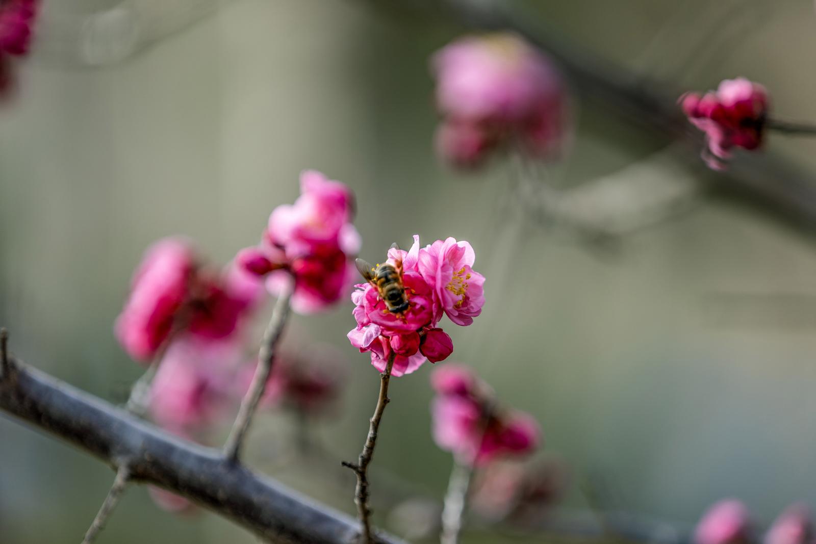 ©山西日报社版权所有。未经许可,请勿转载使用。授权转载转发平台,请注明出处。