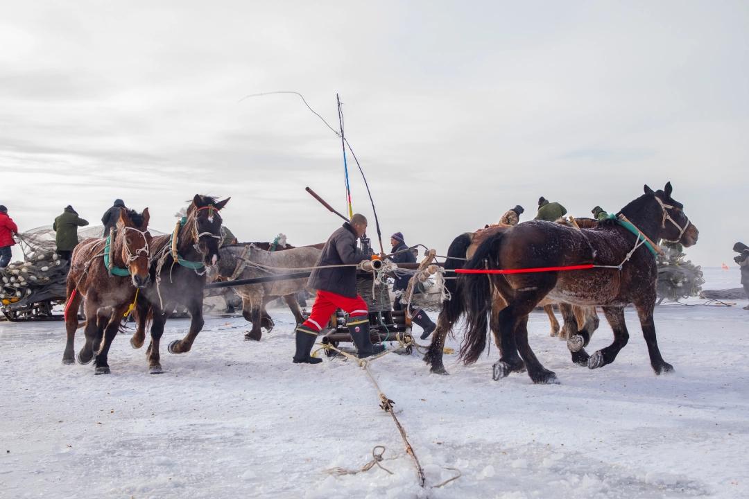 查干湖冬捕现场马拉绞盘。（吉林日报记者 王学雷 摄）.jpg