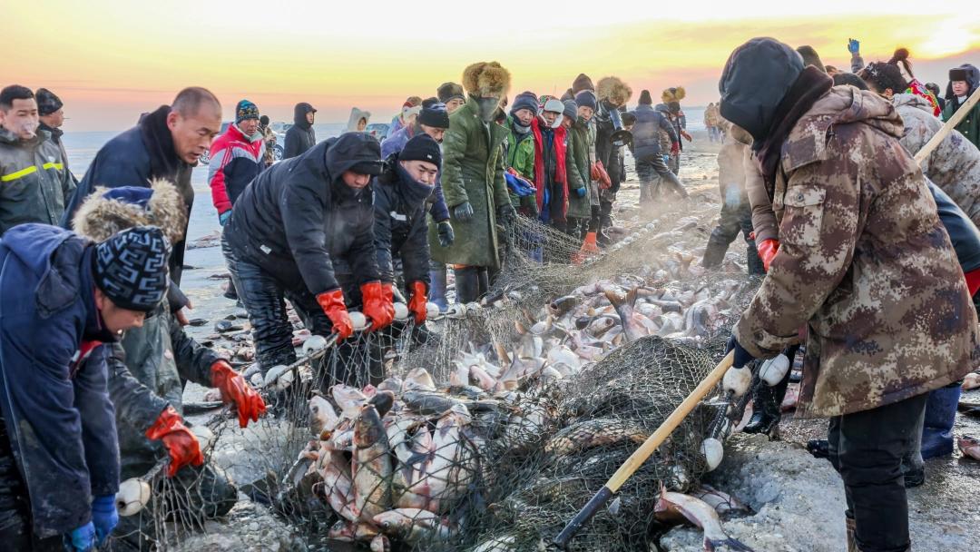 查干湖冬捕现场“冰湖腾鱼”盛景。（吉林日报记者 王学雷 摄）.jpg