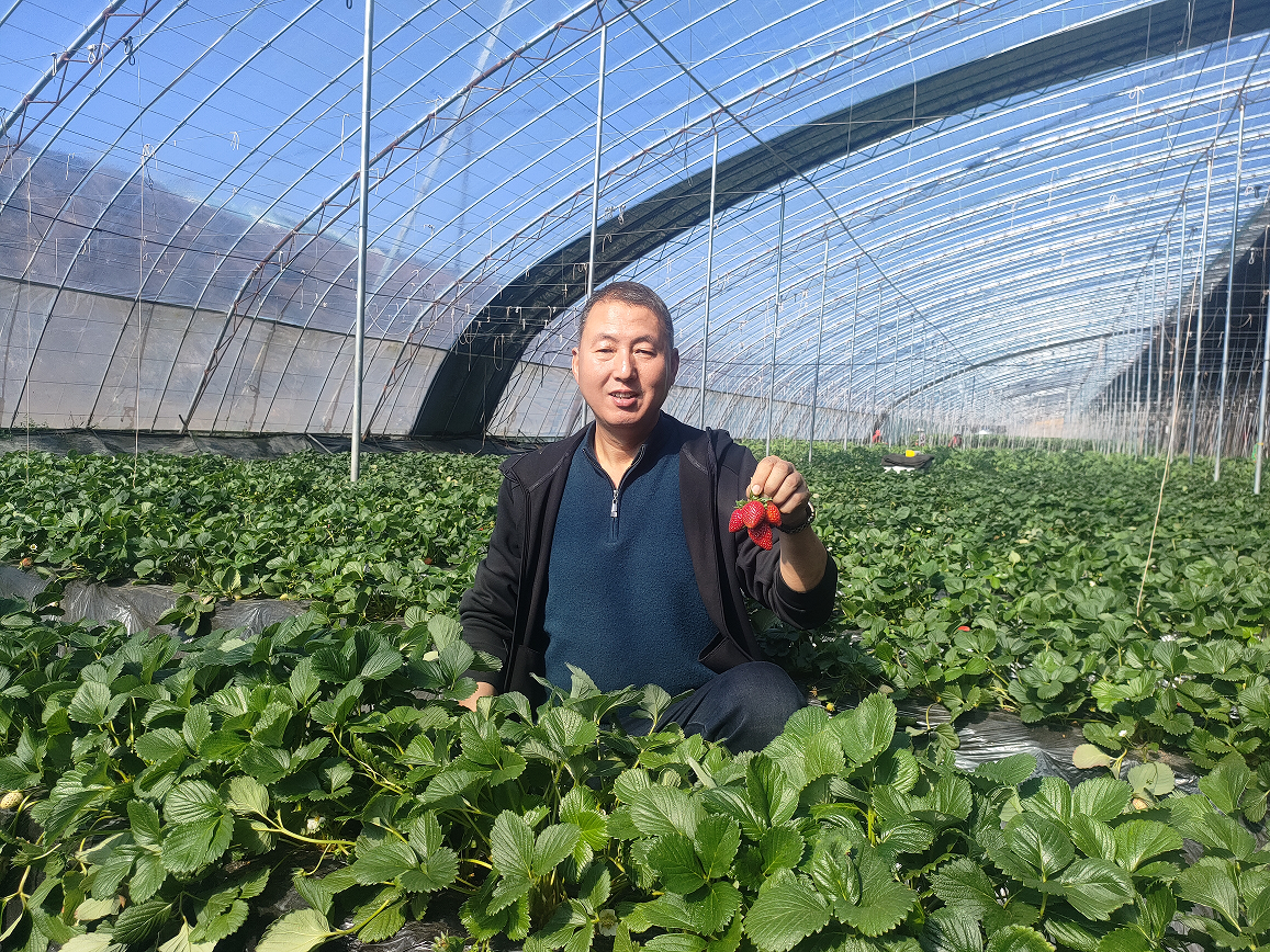 曹德全对设施农业未来信心百倍