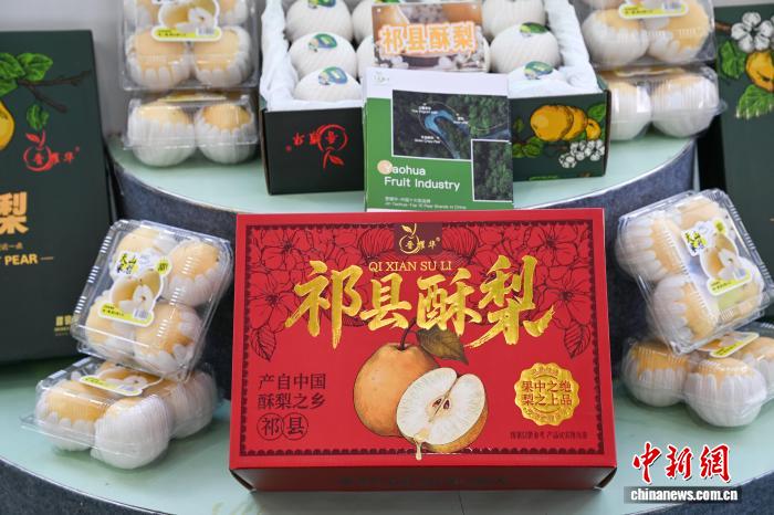 图为祁县酥梨。范景淇 摄