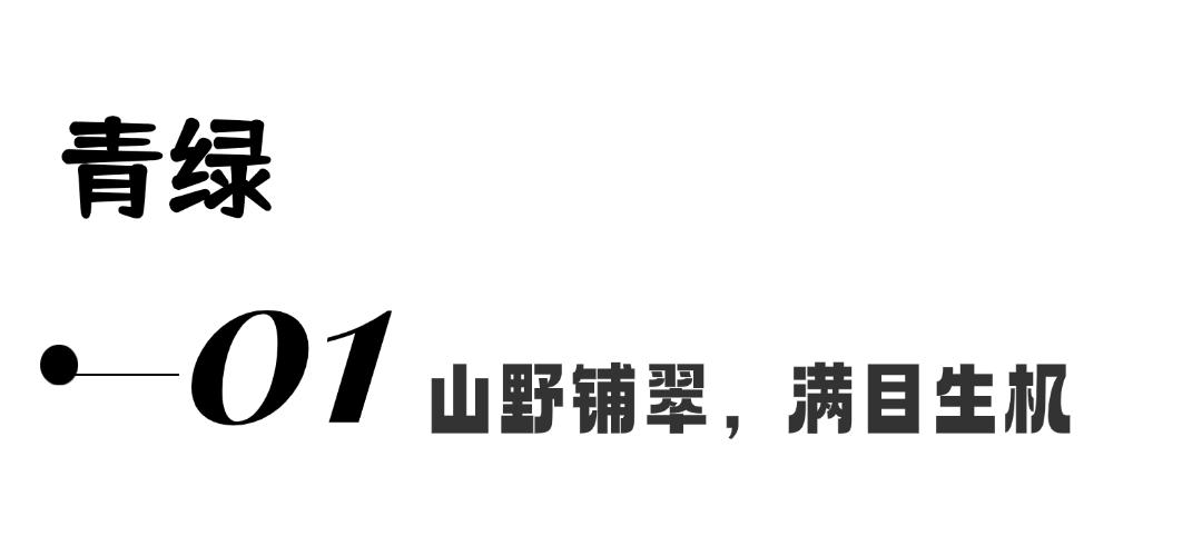 文艺小清新涂鸦文章小标题.png