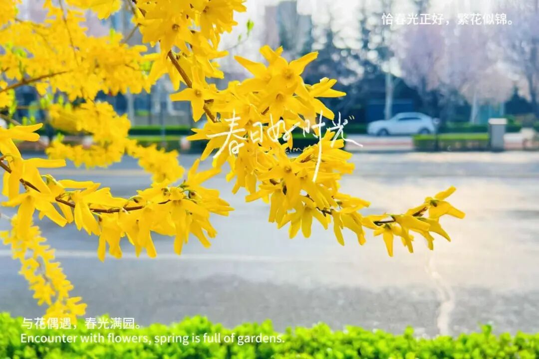 afe6d2fc93ec08e3e7419c74ae919a42.jpg