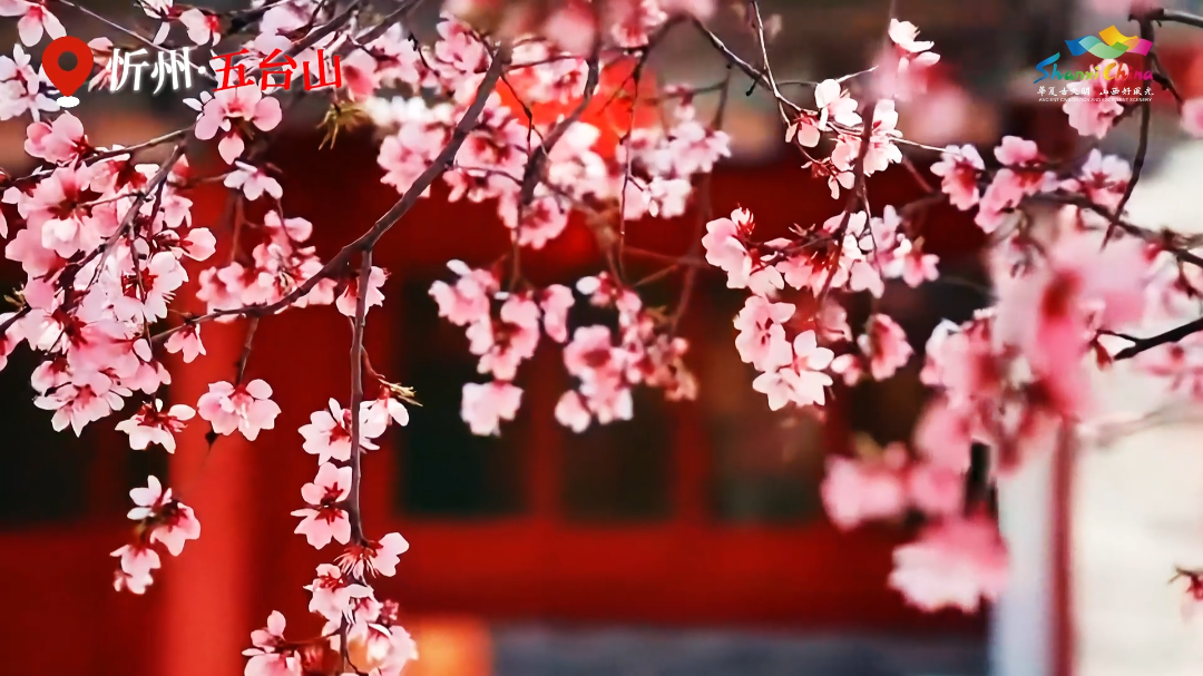 3月19日(13).png