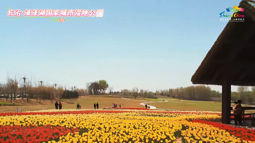 3月16日 (1)(1).png