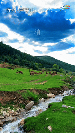 5月26日7777.gif