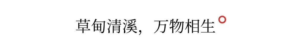 T250120152470上传文件.jpg