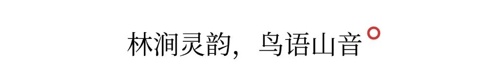 T250120152470上传文件 (5).jpg