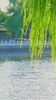 5月26日111.gif