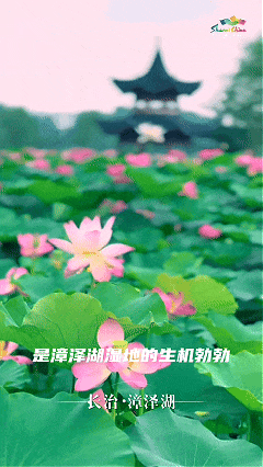 6月3日 (1)(2).gif