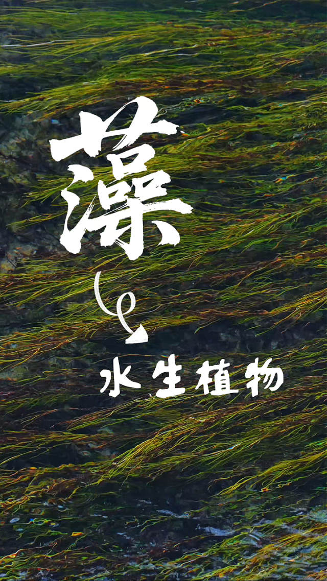 ScreenShot_2026-05-09_152430_151.png