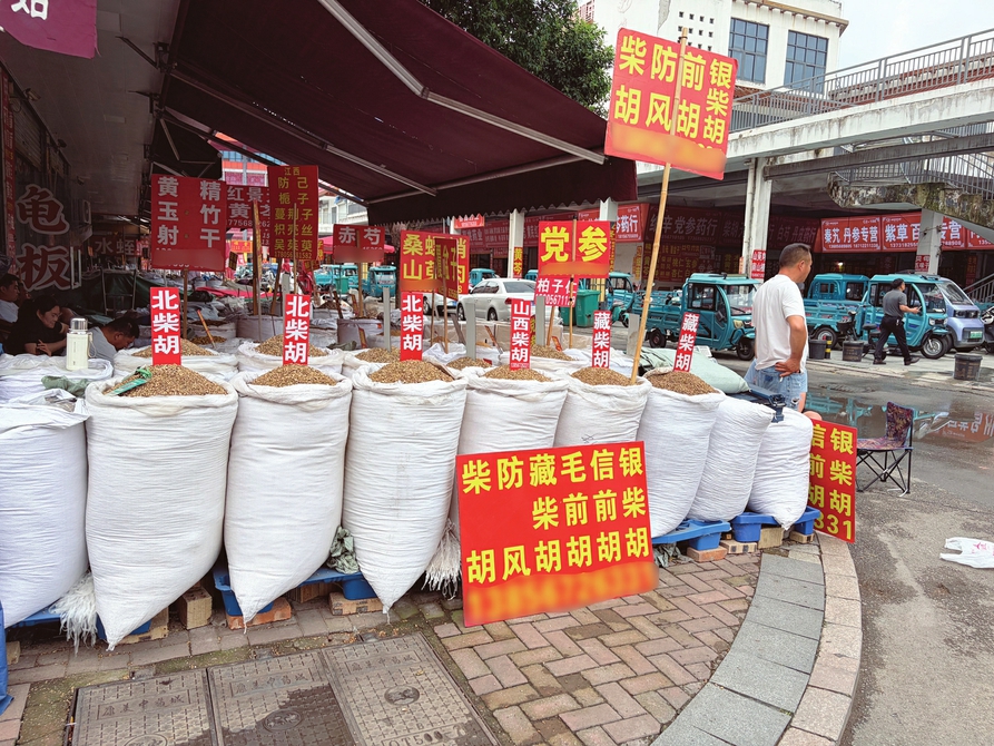 安徽亳州康美中药交易市场,各种品类的柴胡整齐码放,据摊主介绍,来自山西运城的柴胡极受市场欢迎。郭正摄