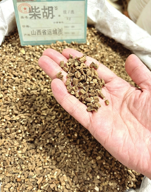 安徽亳州康美中药交易市场,专售运城中药的摊位前,产自万荣的柴胡颗粒均匀、色泽一致。郭正摄