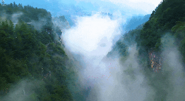 8月24日 (2).gif