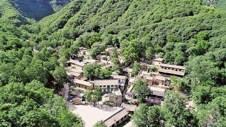 山西稷山县西社镇马家沟村：盘活家底，“长”出新产业