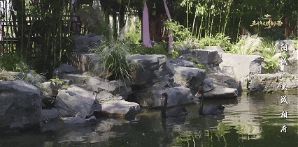 8月31日(1).gif