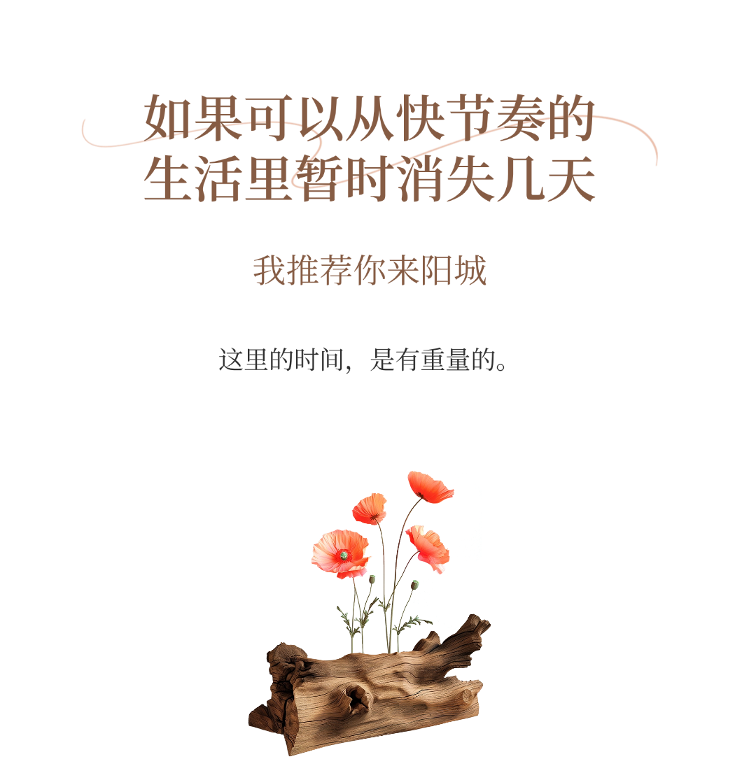 序号标题地产楼盘简约小字公众号文章标题(1)(1).png