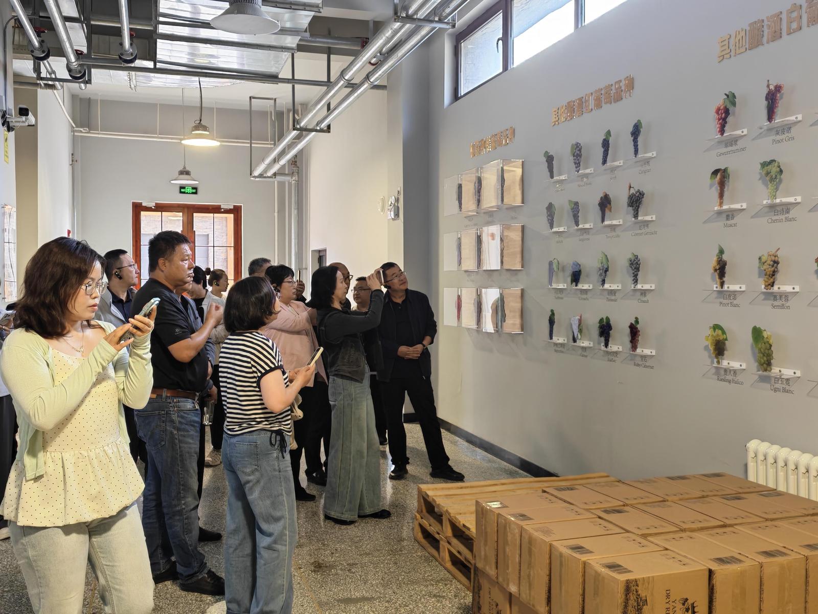 专家组一行在如燕酒庄参观