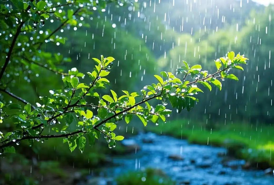 雨后4