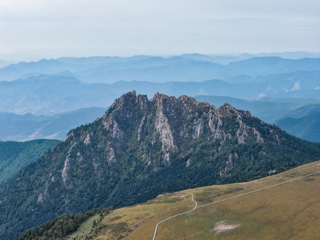 配图1